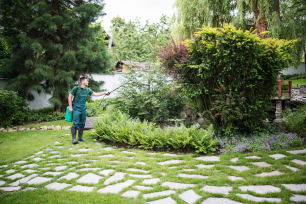 Professional Pest Control in Buckeye Lake, OH