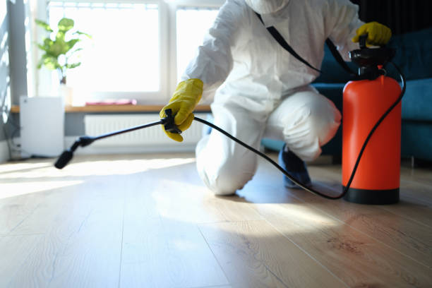 Flea Control Services in Buckeye Lake, OH