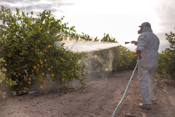 Best Cockroach Control Services  in Buckeye Lake, OH
