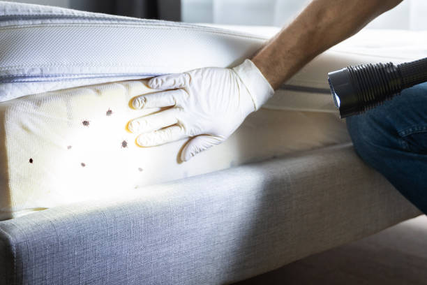 Best Best Pest Control Companies  in Buckeye Lake, OH