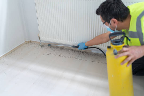 Best Ant Control Services  in Buckeye Lake, OH