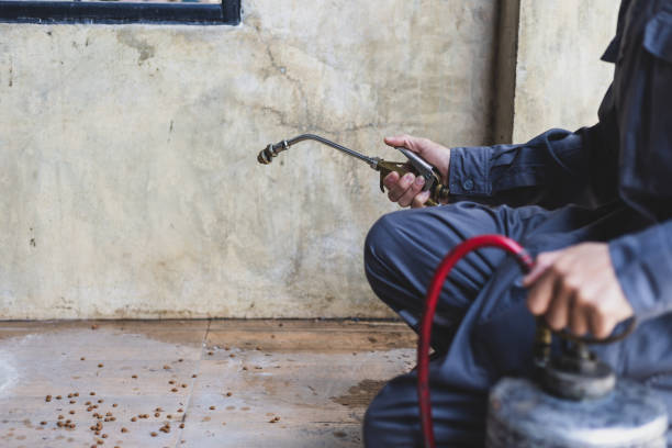 Best Pest Prevention Services  in Buckeye Lake, OH